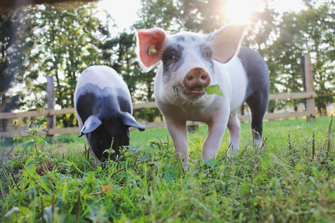 Gästehaus Galerie Bild 1