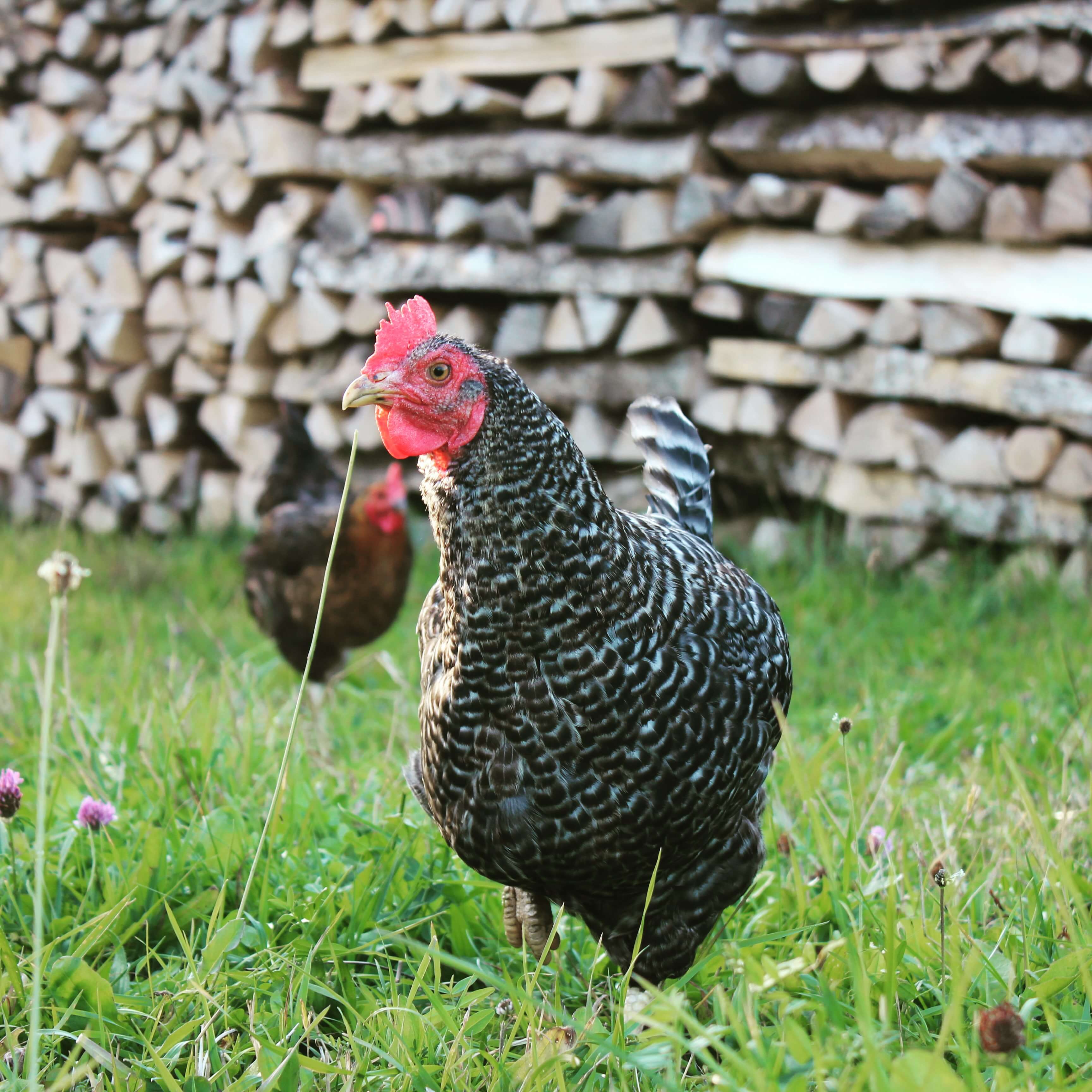 Gästehaus Galerie Bild 3