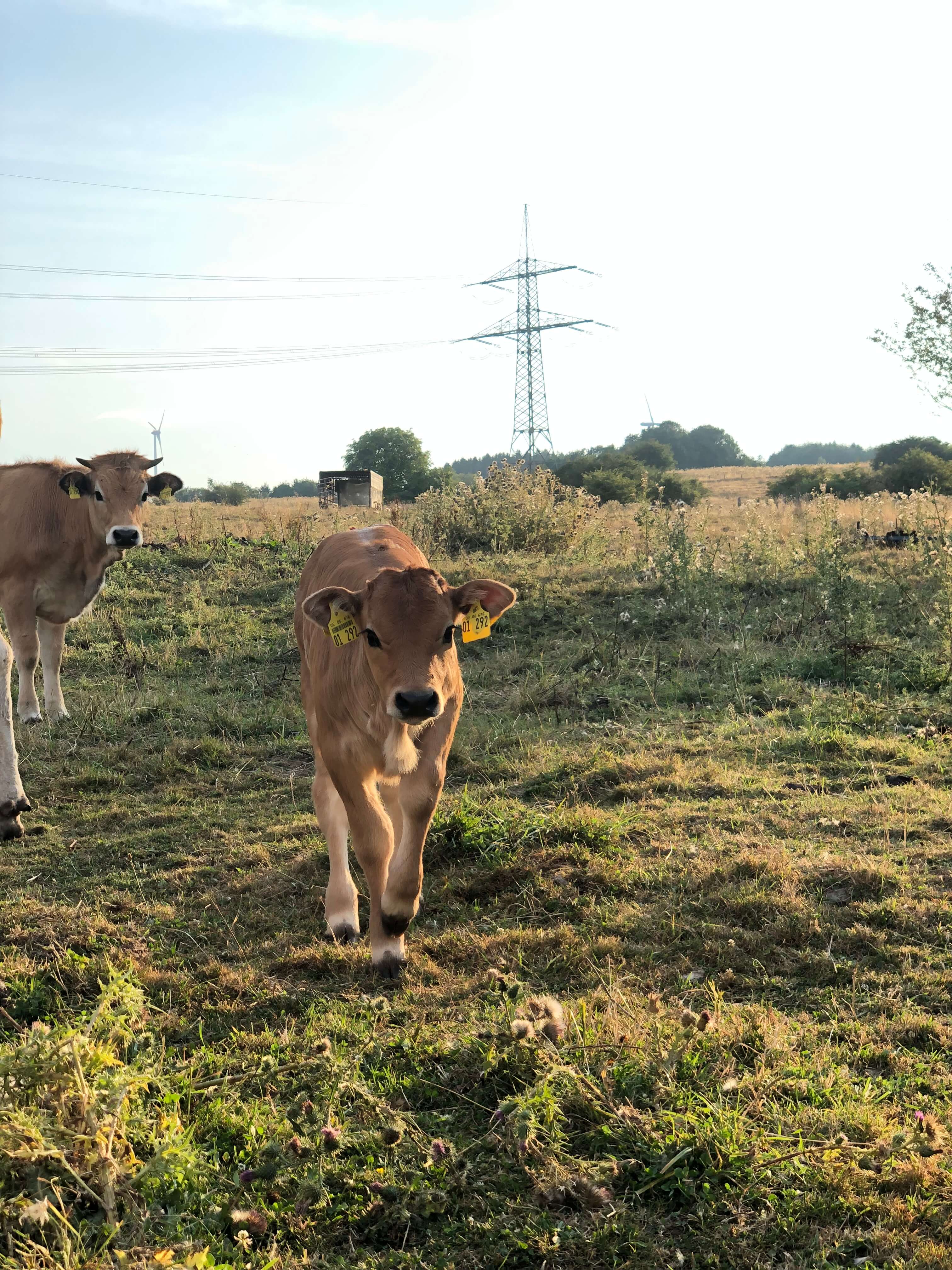 Gästehaus Galerie Bild 7