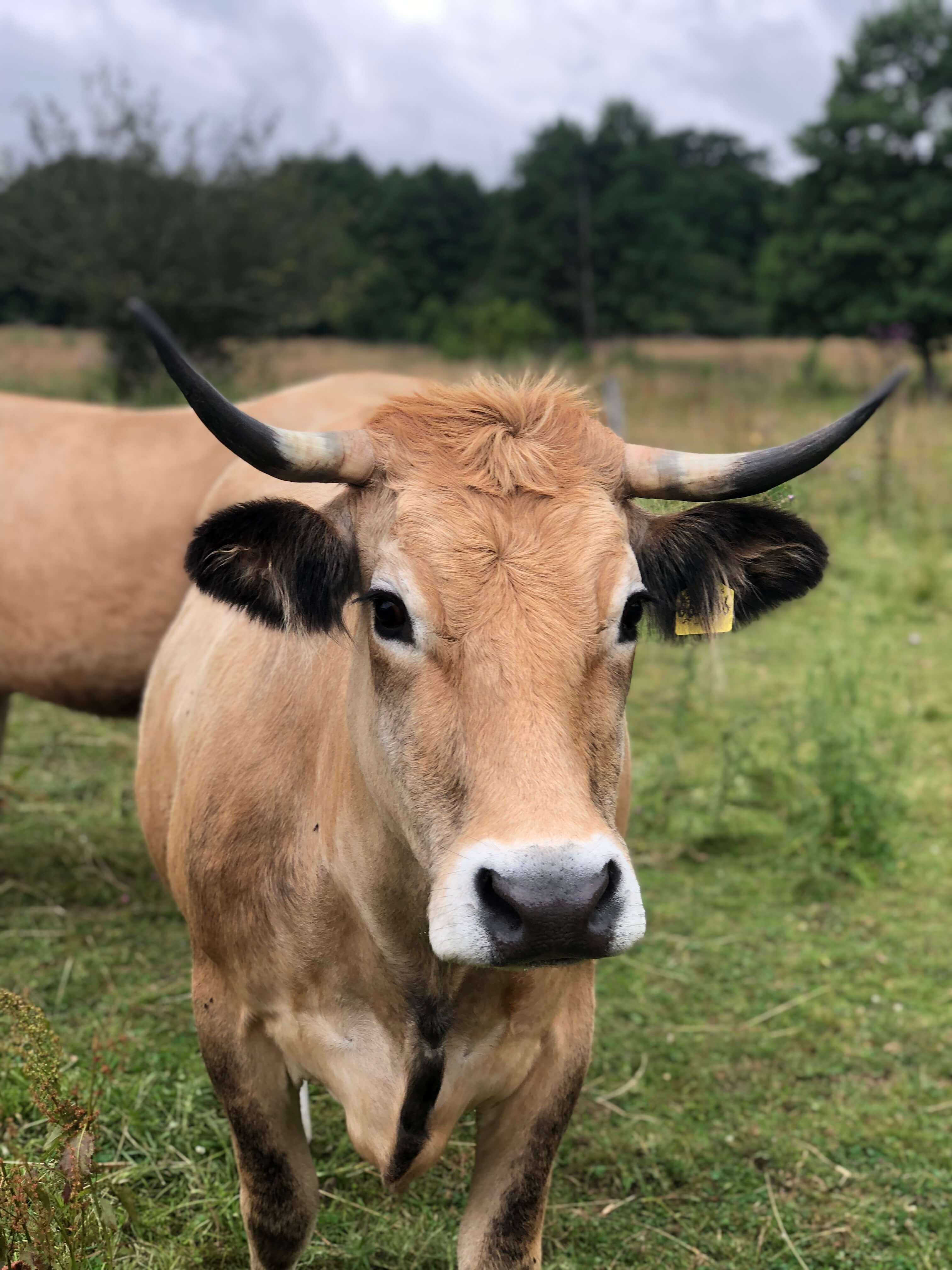 Gästehaus Galerie Bild 8