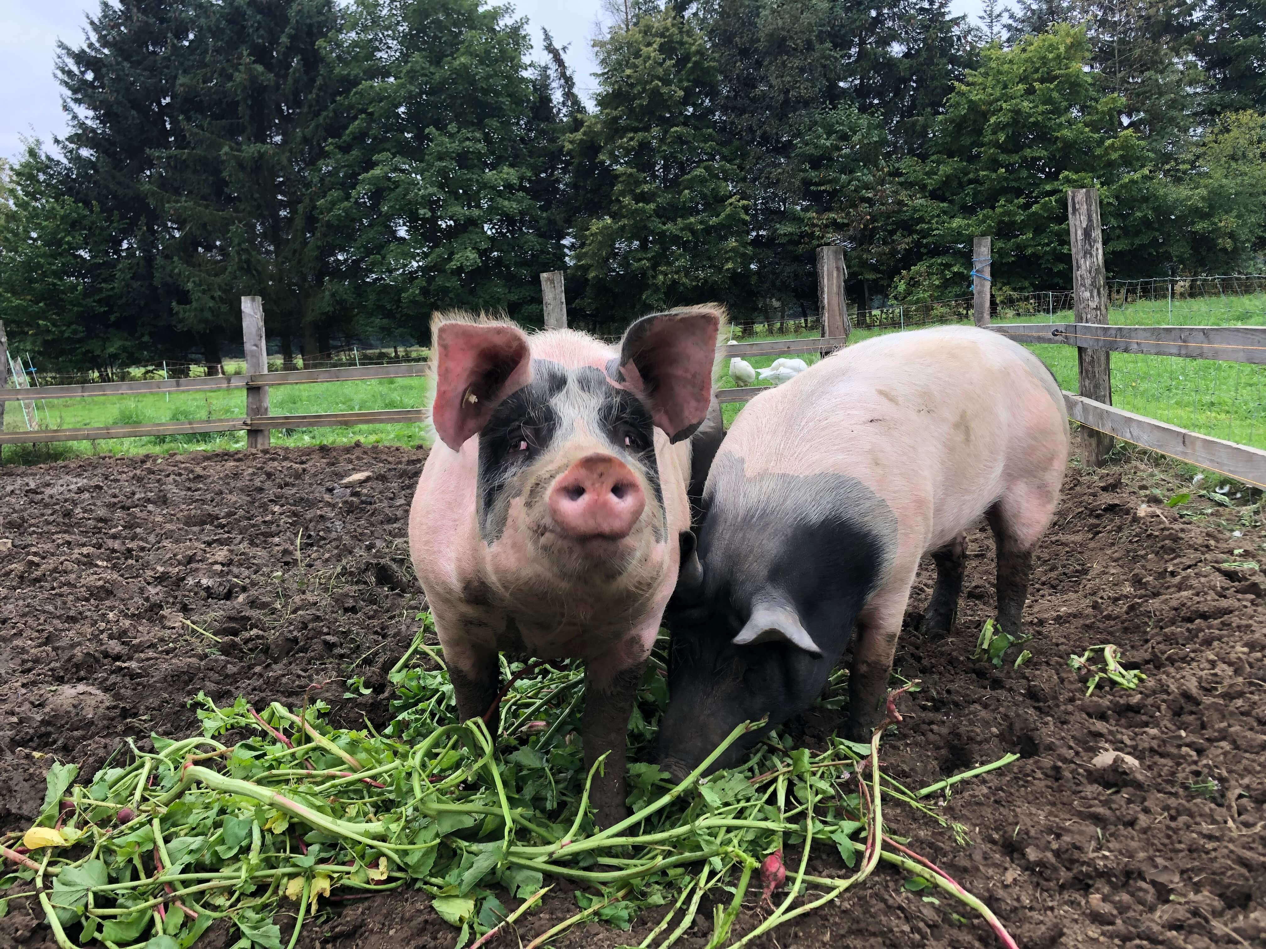 Gästehaus Galerie Bild 11