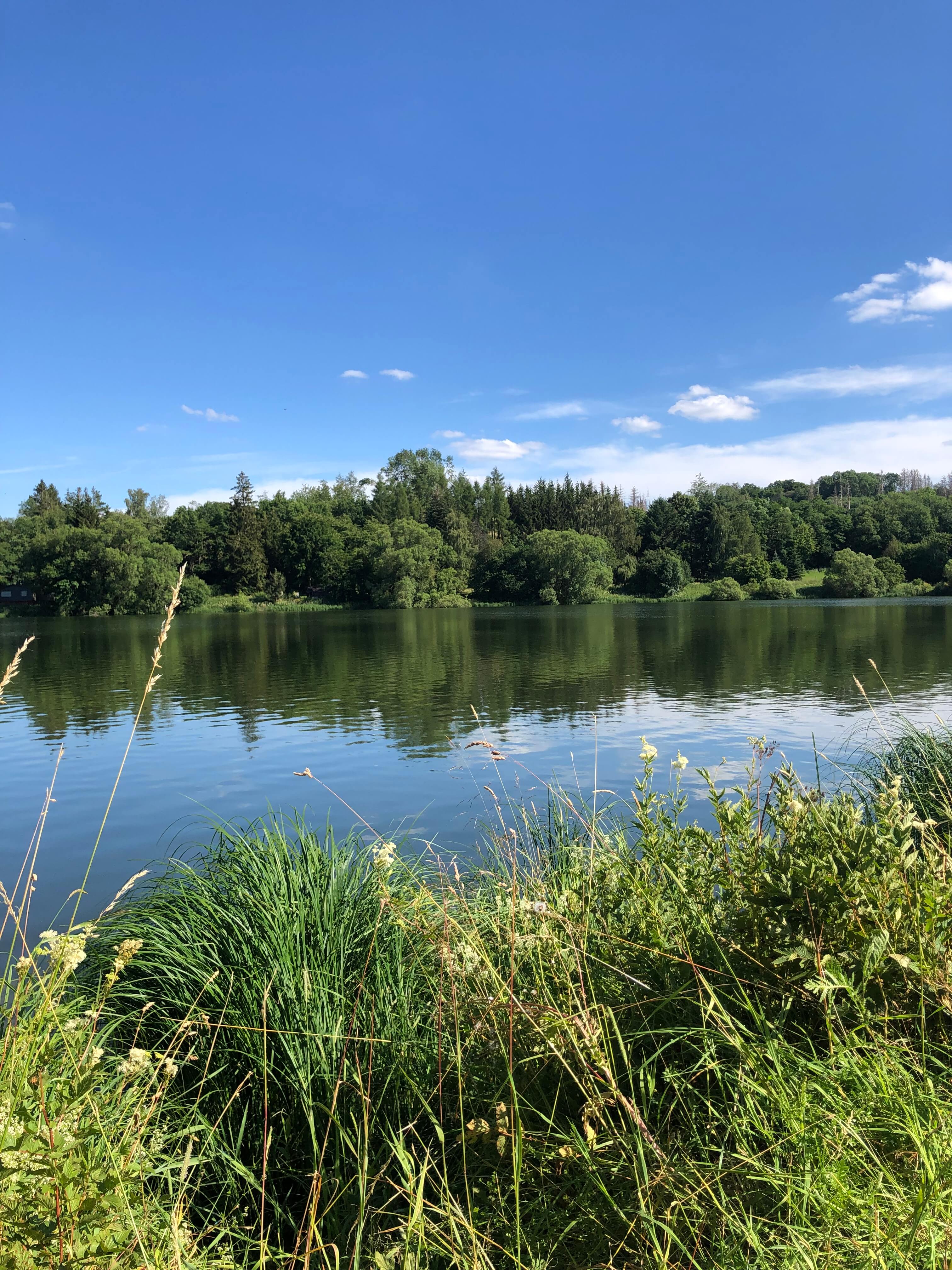 Gästehaus Galerie Bild 12