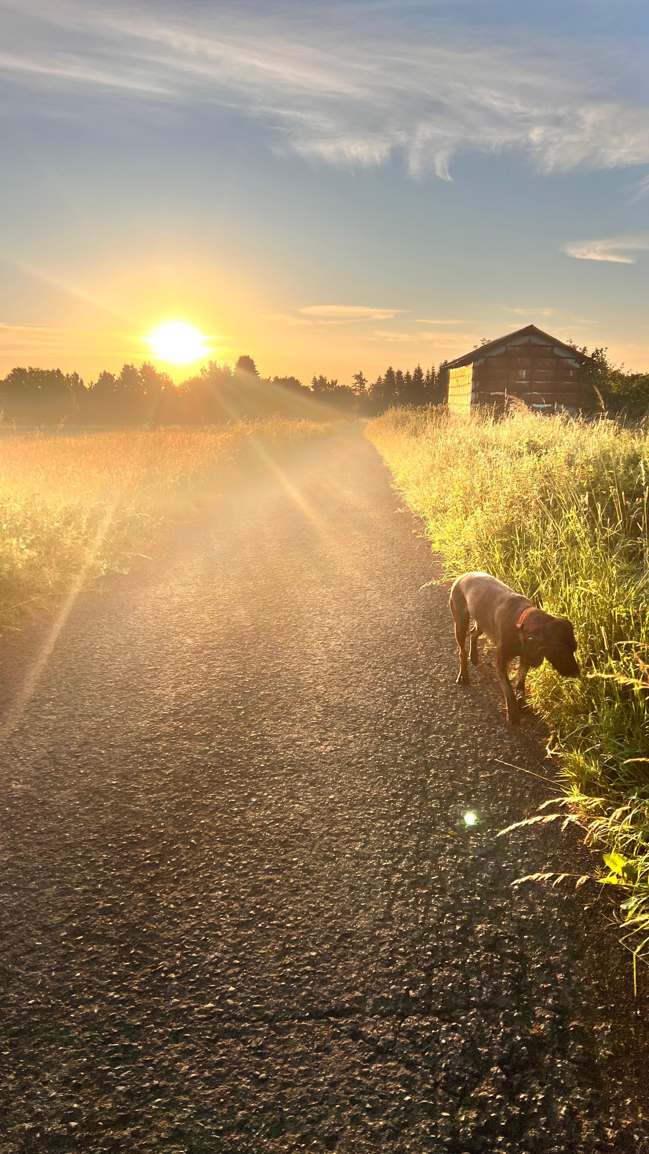 Gästehaus Galerie Bild 16