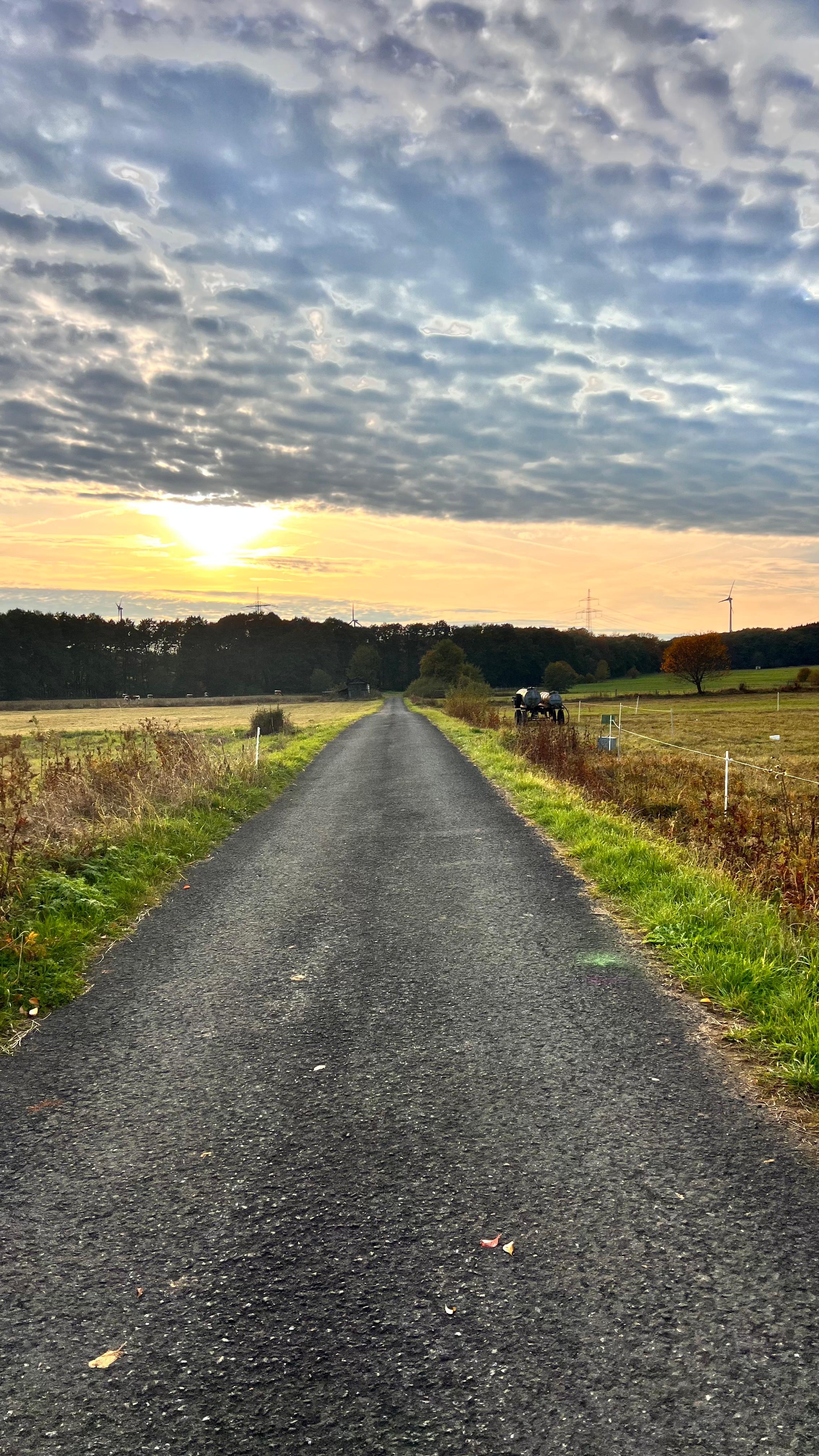 Gästehaus Galerie Bild 18