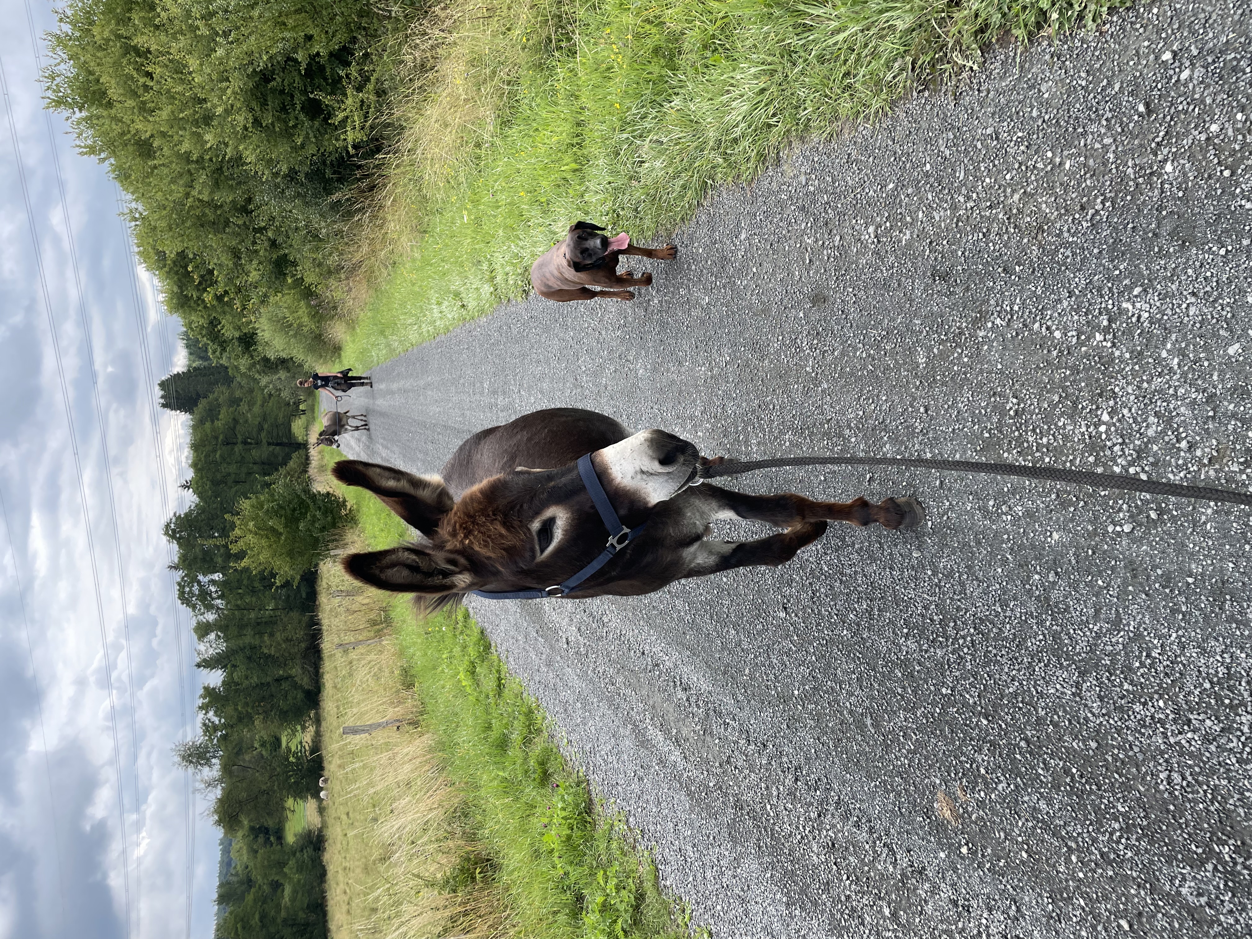 Gästehaus Galerie Bild 20